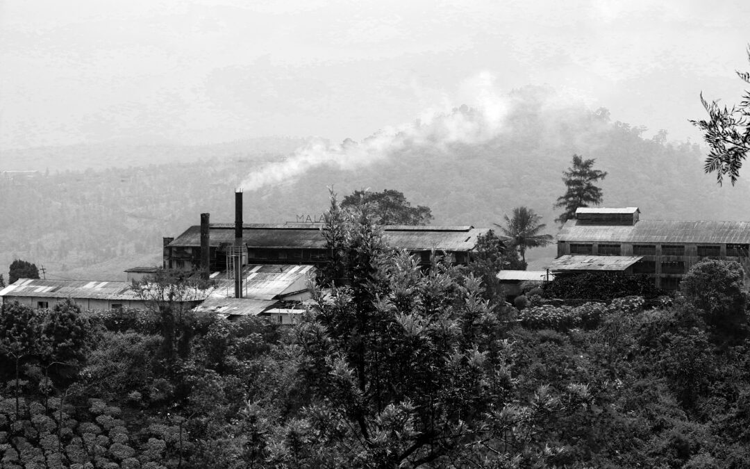 Why Vasu Inn is One of the Best Places to Stay in Valparai.